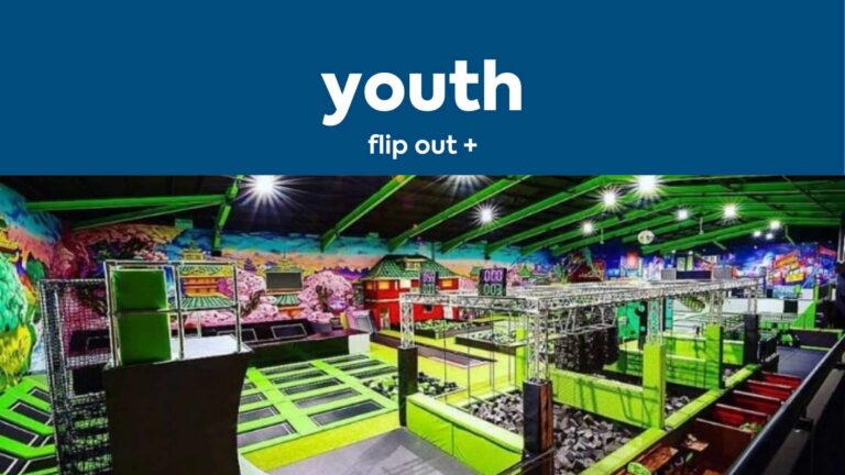 Image for : Flip Out +